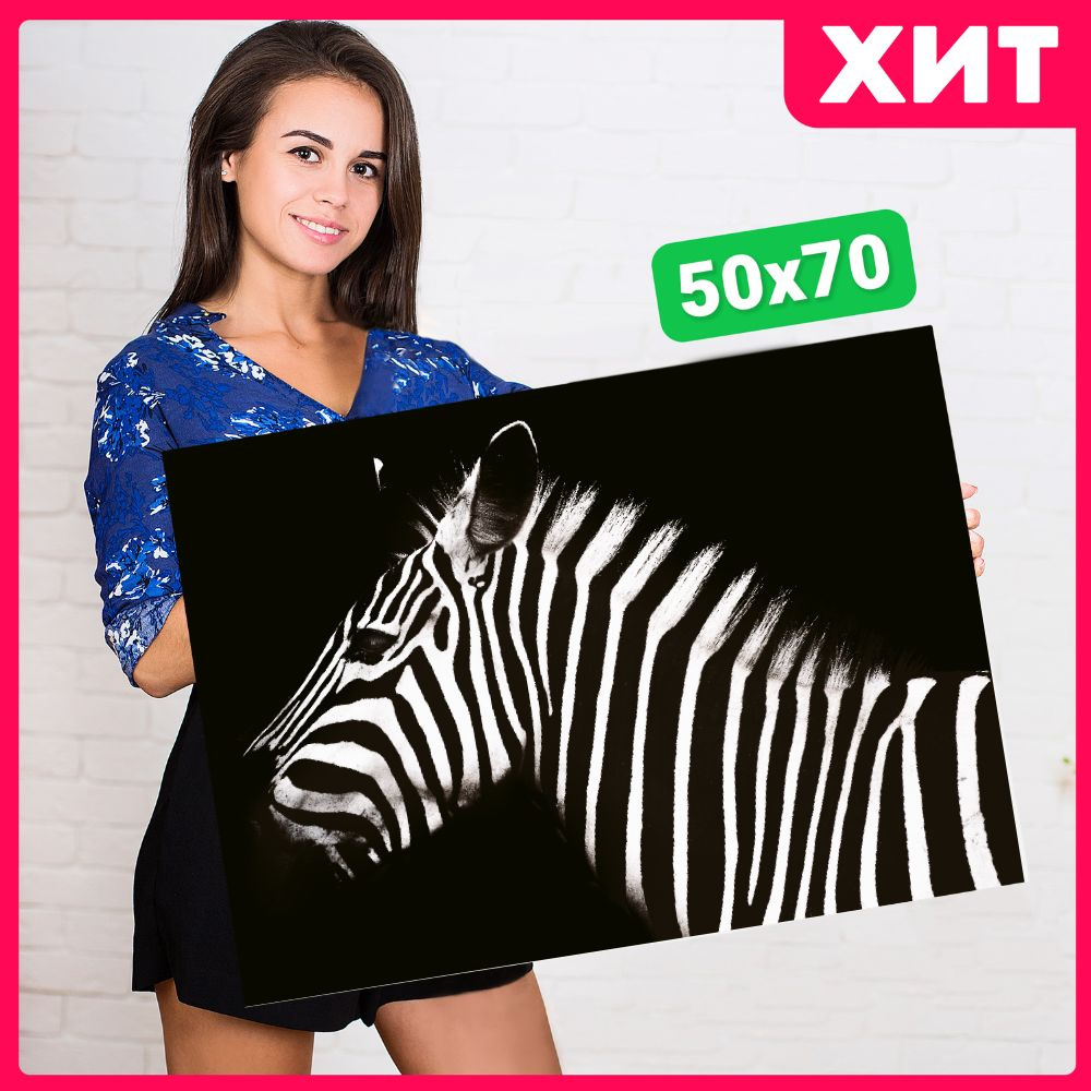 Картина на холсте 50x70 Зебра #1