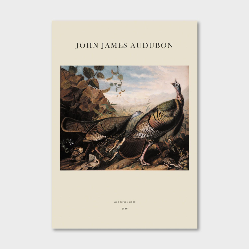 Постер для интерьера Postermarkt, J.J.Audubon №3, 50х70 см #1