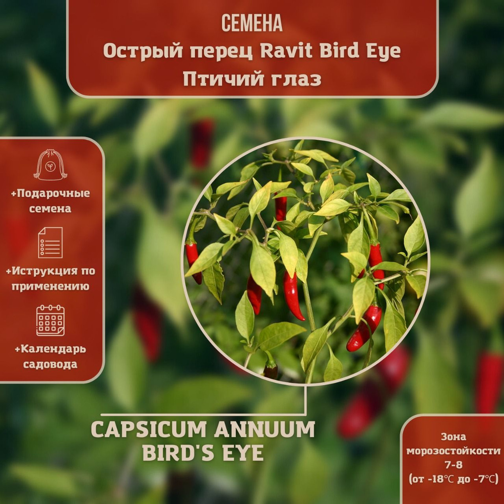 Перец острый Ravit Bird Eye - Птичий глаз (лат. Capsicum annuum Bird's Eye) СЕМЕНА 15шт + подарочек  #1