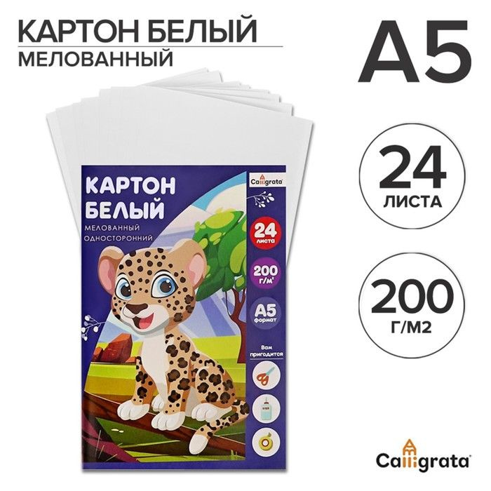 Картон белый А5, 24 листа, Calligrata, мелованный, плотность 200 г/м2, в папке  #1