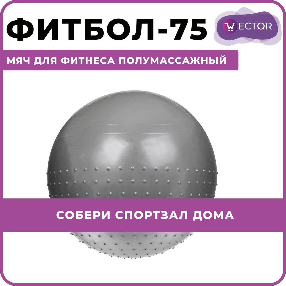 Мяч для фитнесаФитбол-75 SF 0357, серый, 75 см #1