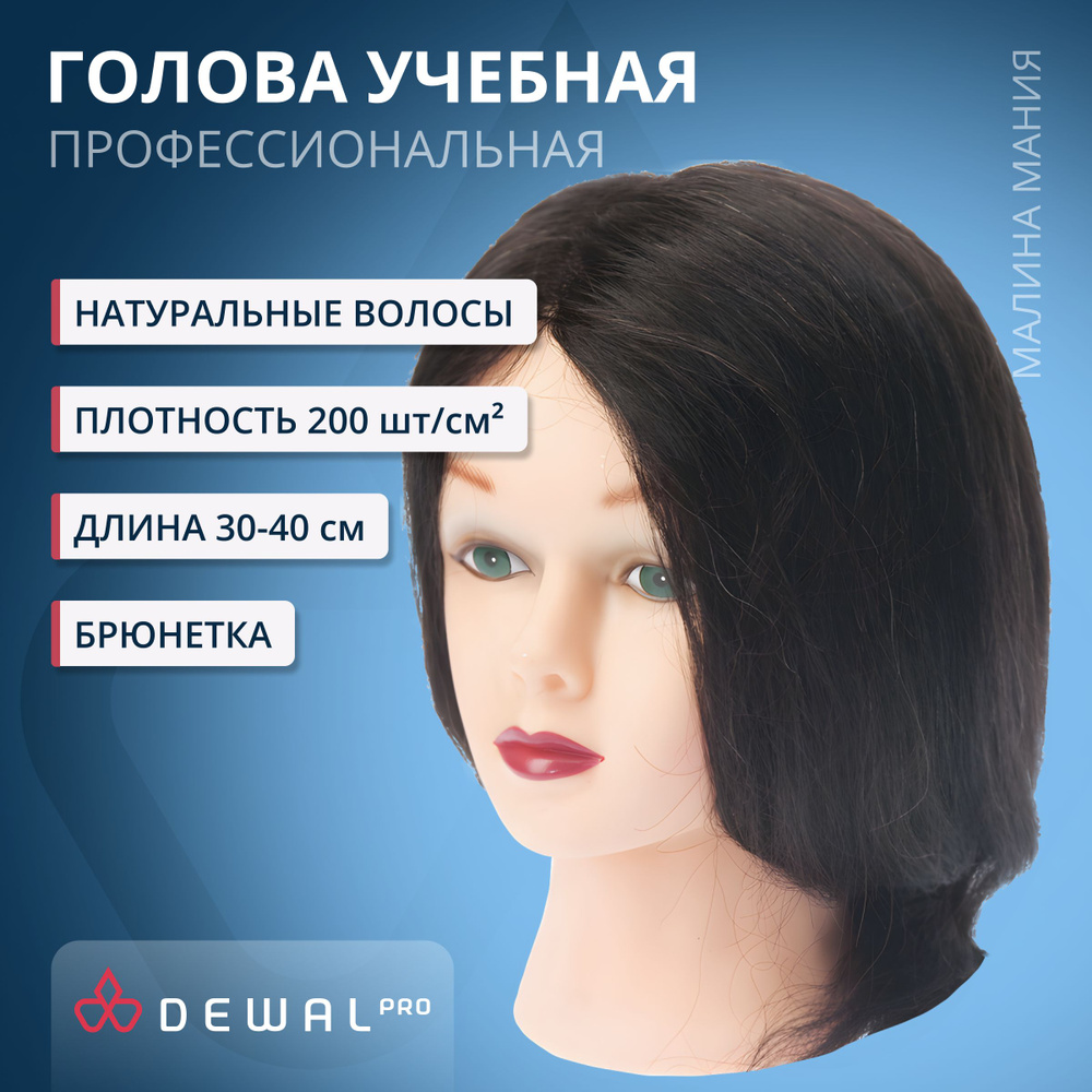 DEWAL Парикмахерская учебная голова-манекен для стрижек и причесок "Брюнетка", натуральные волосы 30-40 #1