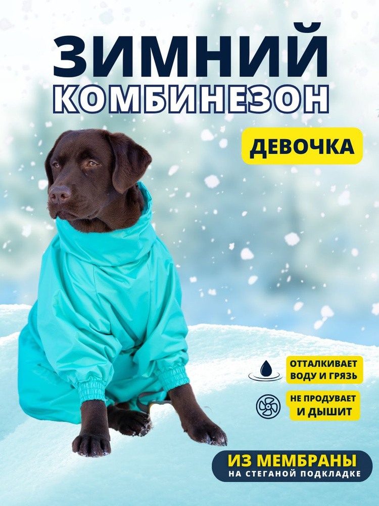 Комбинезон зимний для собак средних пород SNOW plus, 55+ж (сука), зеленый, 4XL+  #1