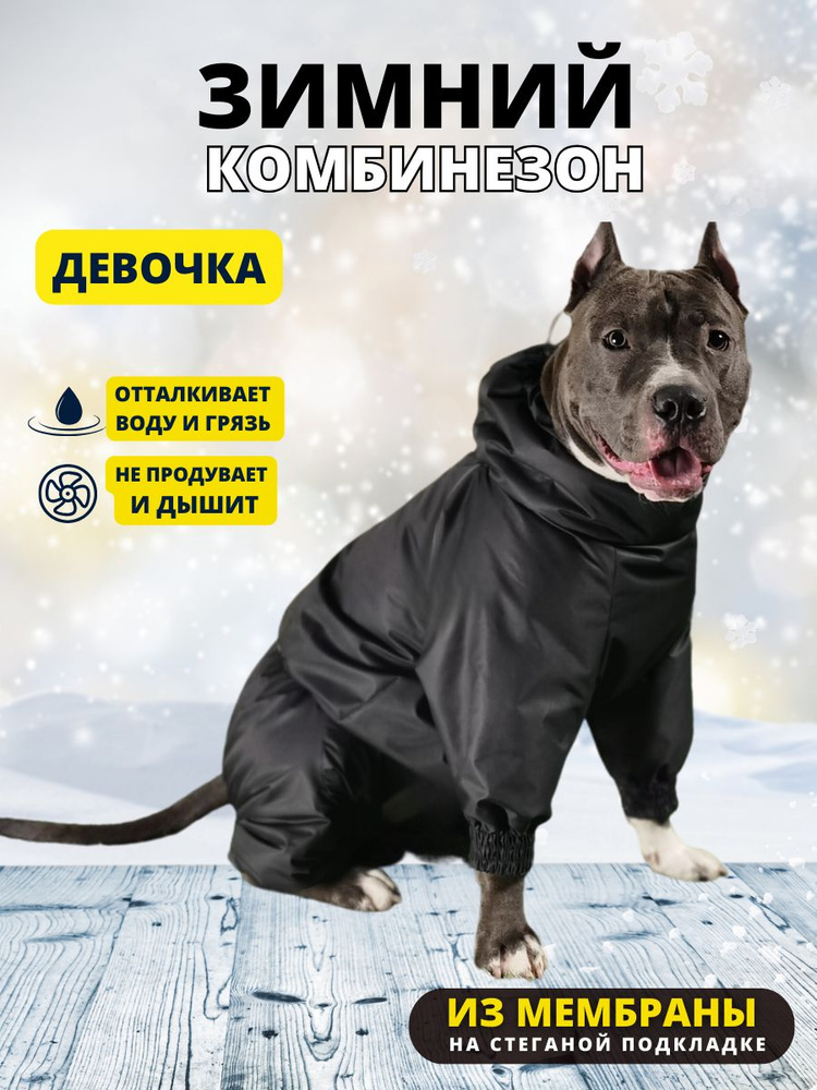 Комбинезон зимний для собак средних пород SNOW plus, 55+ж (сука), черный, 4XL+  #1