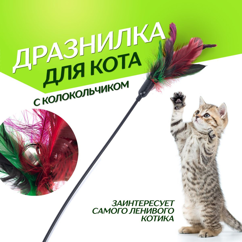 Игрушка для кошек. Удочка дразнилка с перьями и бубенчиком для котят, длина 60 см, цвет разноцветный #1