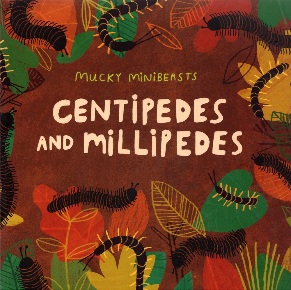 Mucky Minibeasts. Centipedes and Millipedes #1