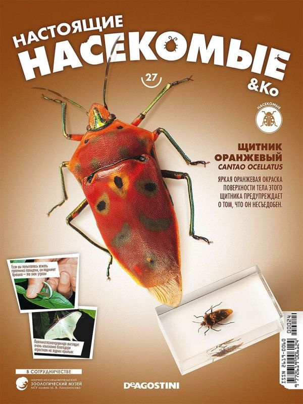 Журнал №27 "Настоящие насекомые" С ВЛОЖЕНИЕМ! Щитник оранжевый  #1