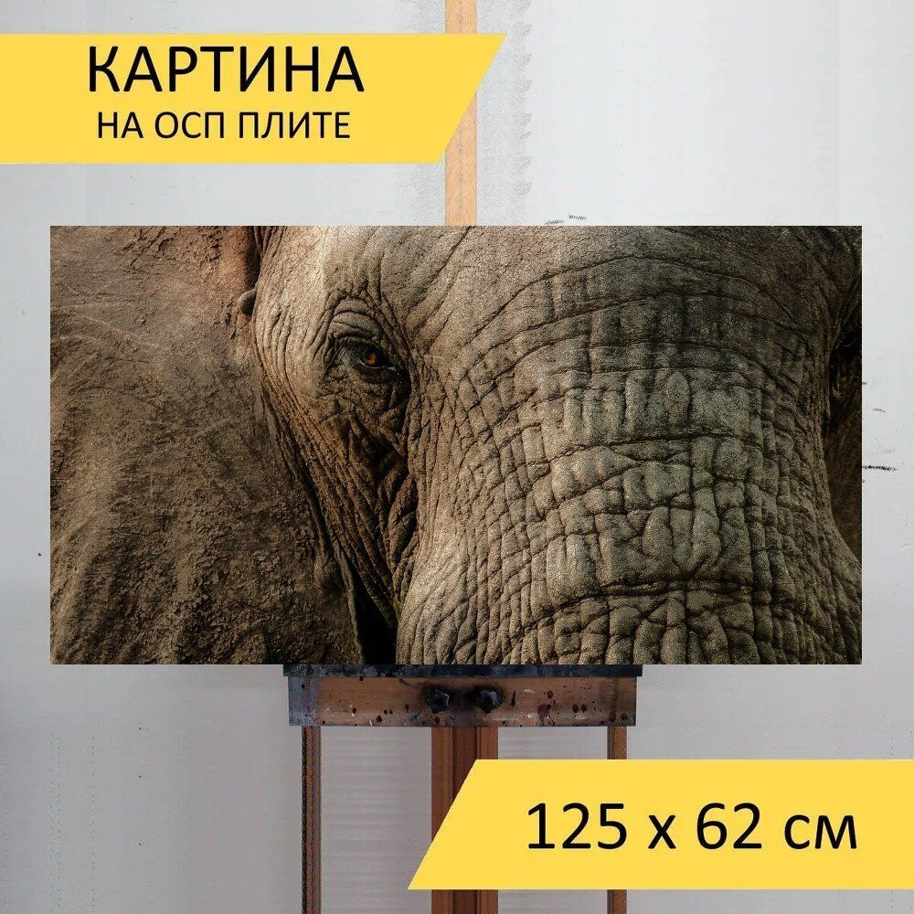 LotsPrints Картина "Слон, закрыть, ствол 55", 125  х 62 см #1