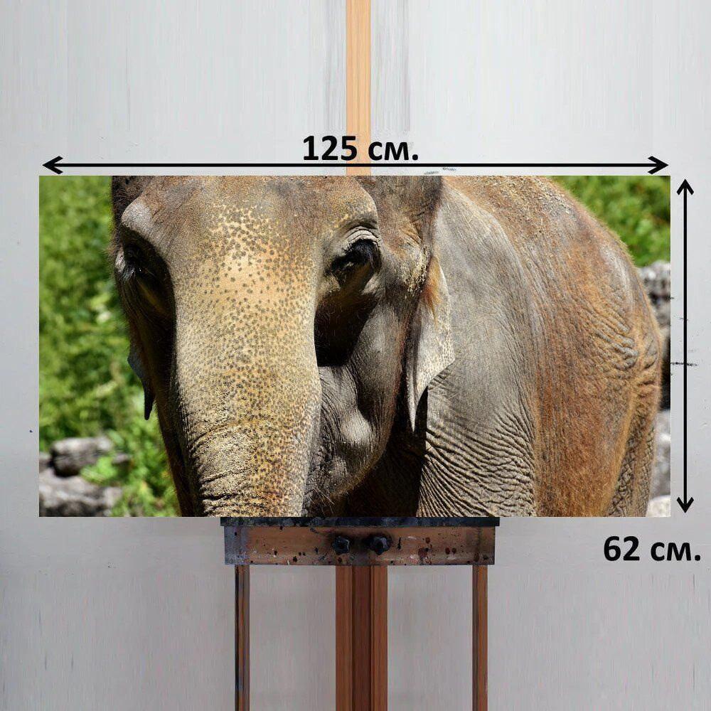 LotsPrints Картина "Слон, толстокожий, животное 98", 125  х 62 см #1