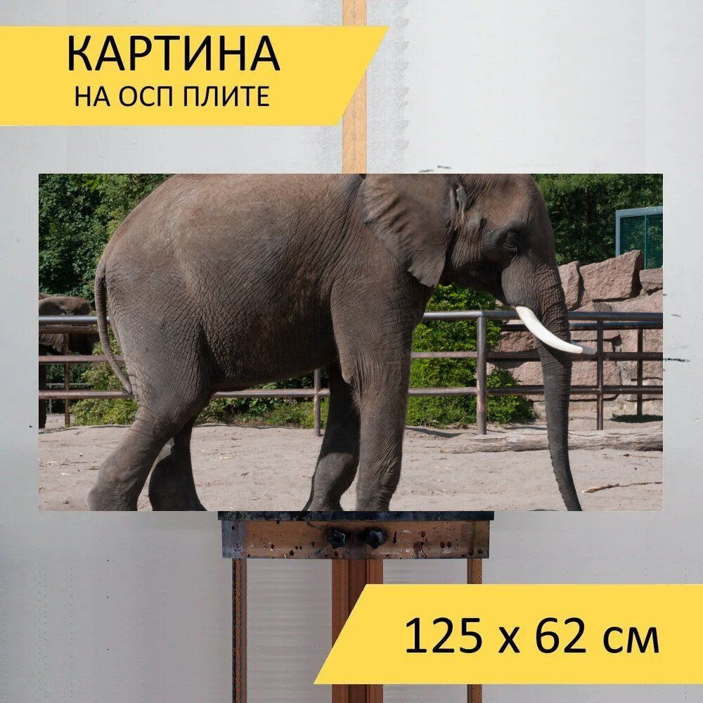 LotsPrints Картина "Слон, зоопарк, летом 59", 125  х 62 см #1