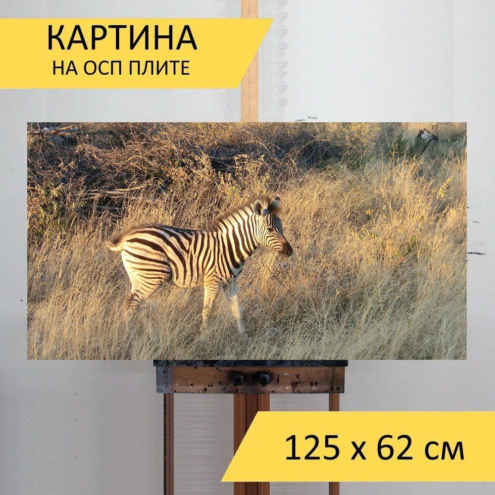 LotsPrints Картина "Зебра, африке, сафари 14", 125  х 62 см #1