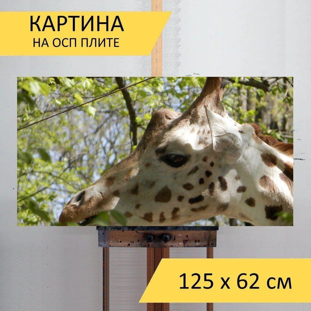 LotsPrints Картина "Жирафа, зоопарк, животное 74", 125  х 62 см #1