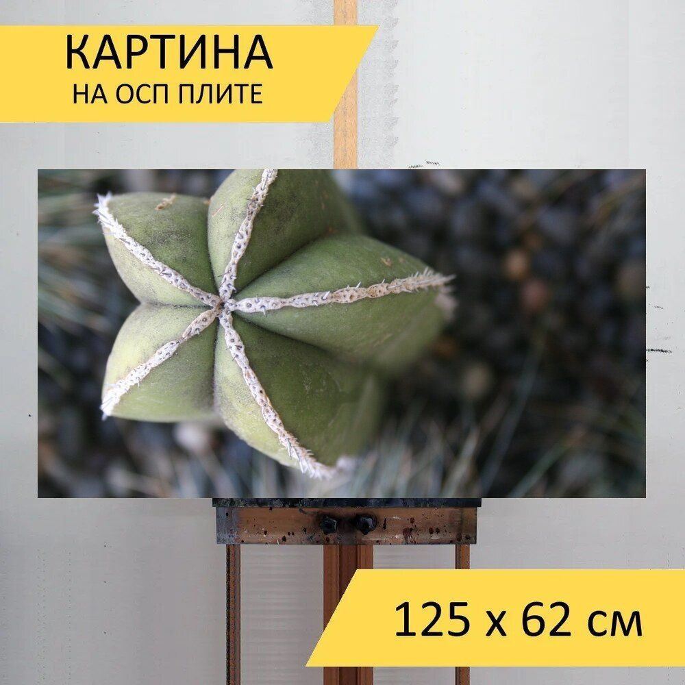 LotsPrints Картина "Кактус, завод, зеленый 82", 125  х 62 см #1