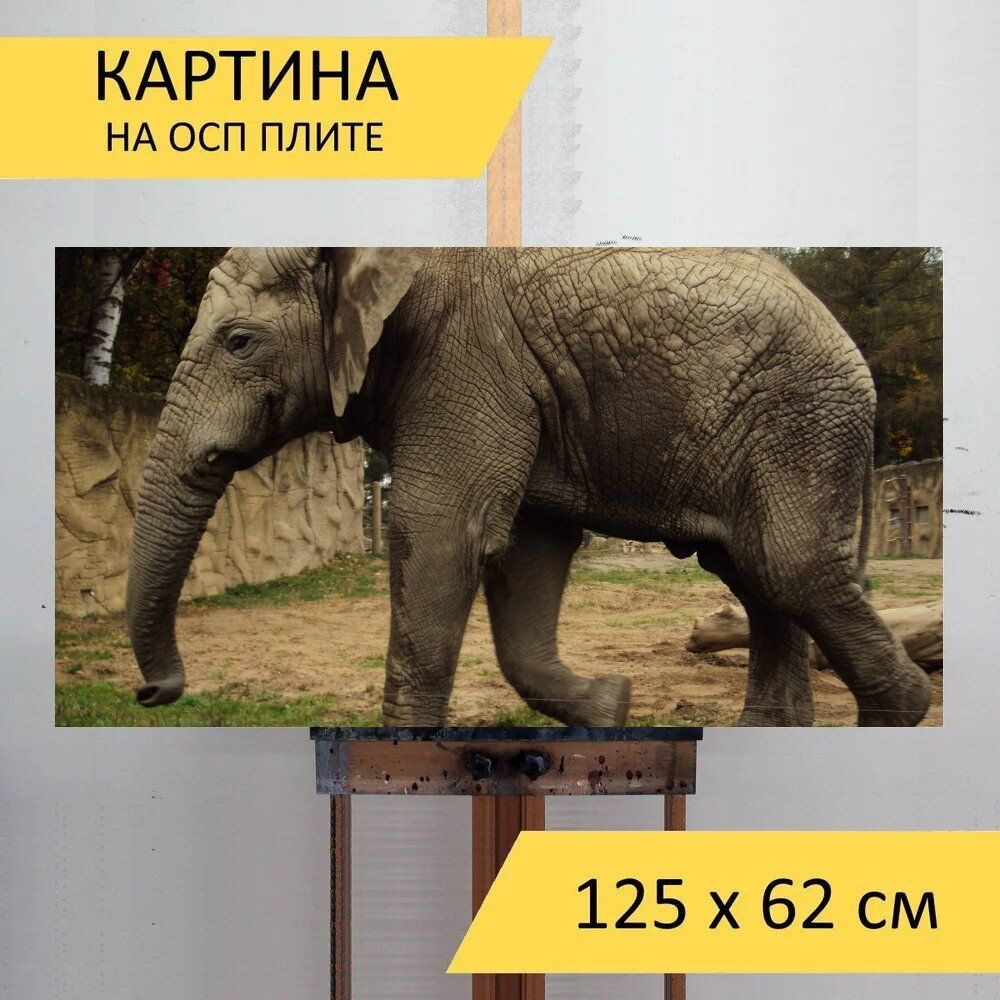 LotsPrints Картина "Слон, зоопарк, ствол 48", 125  х 62 см #1