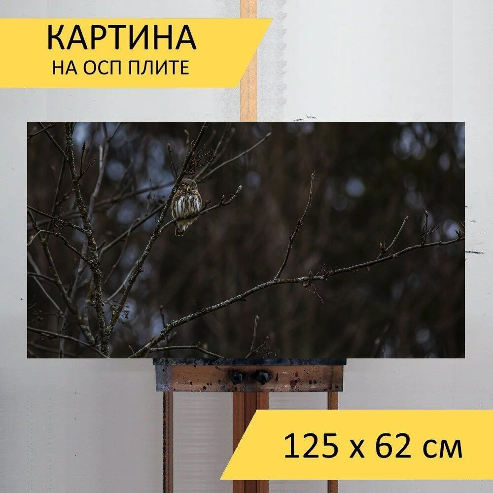 LotsPrints Картина "Евразийская карликовая сова, птица, дерево 47", 125 х 62 см  #1