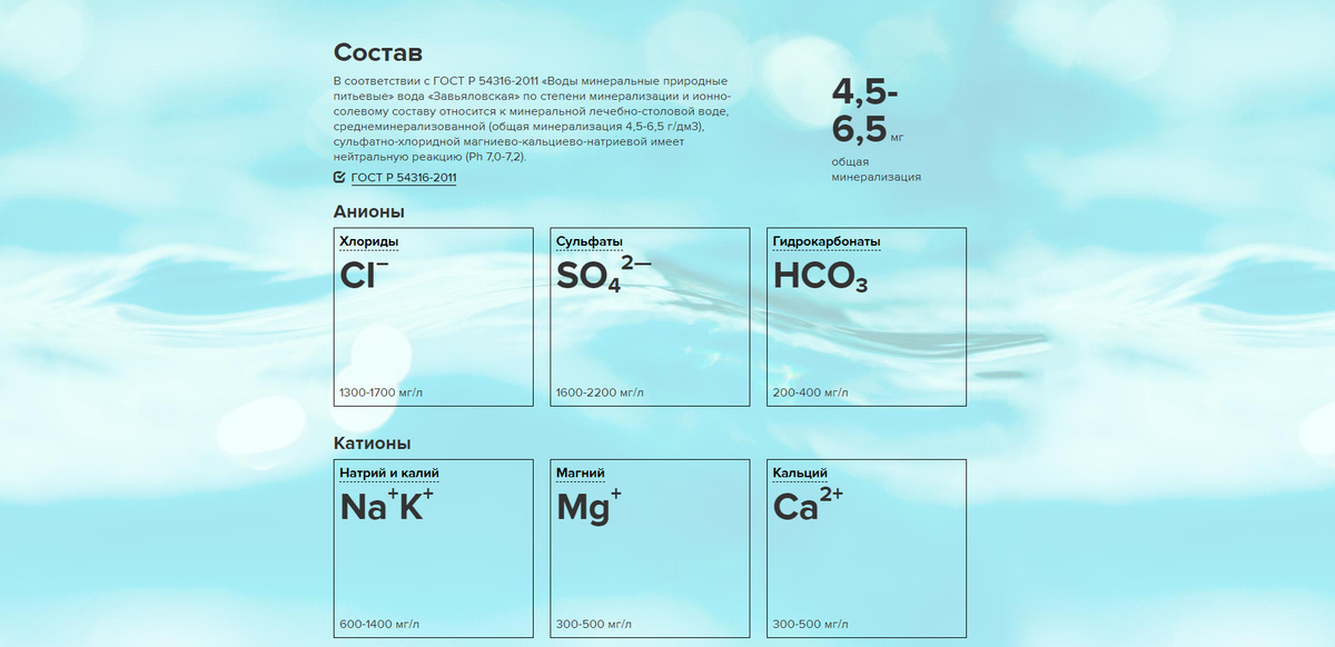 Текстовое описание изображения