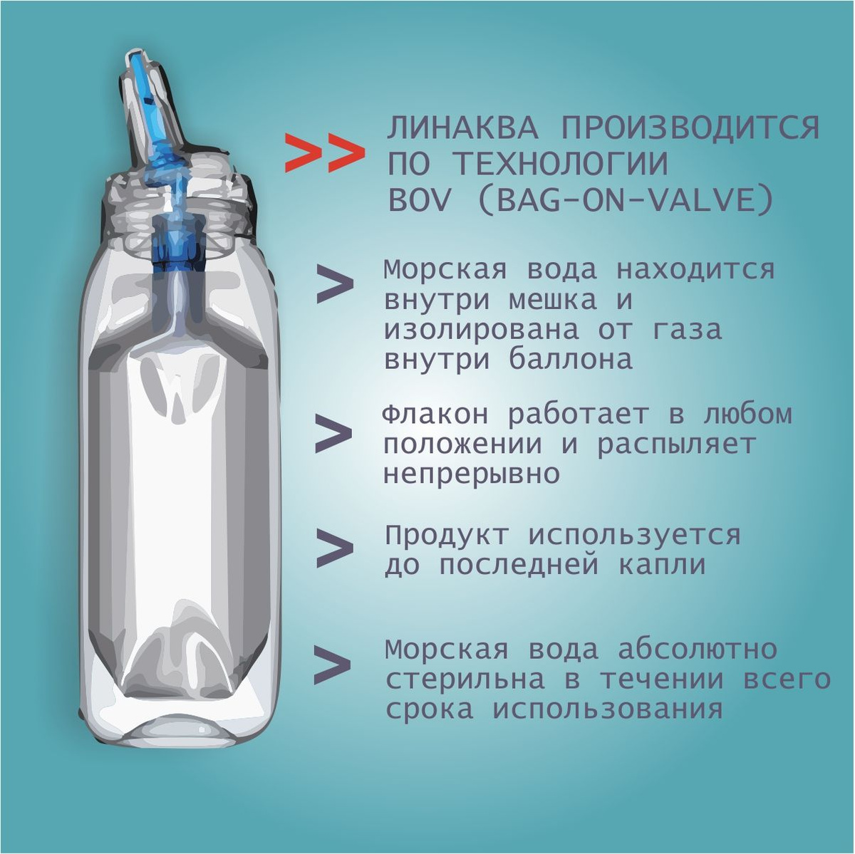 Текстовое описание изображения