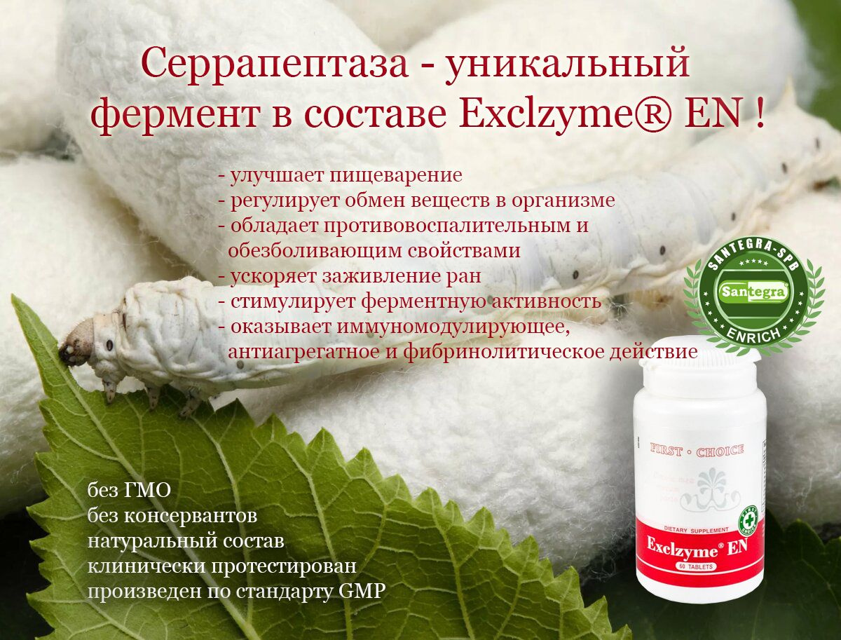 Exclzyme EN (Экслезайм Е Эн) - комплекс растительных и животных ферментов для переваривания пищи