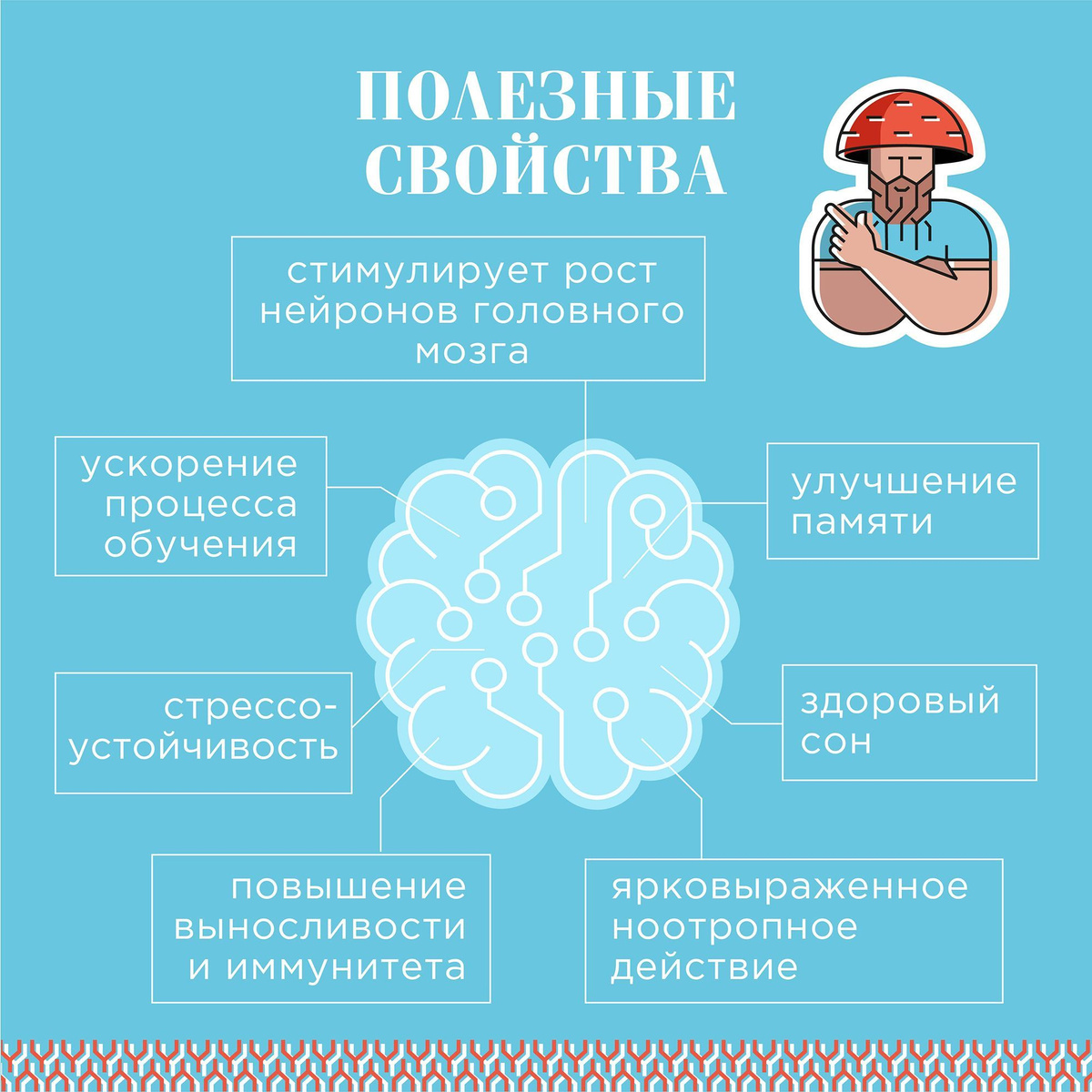 ✔️Ярковыраженное ноотропное действие ✔️Улучшение памяти, концентрации внимания, настроения ✔️Стимуляция роста нейронов и укрепление миелиновой оболочки ✔️Восстановление мозга после стрессов, употребления алкоголя или наркотических веществ ✔️Улучшение нервной проводимости ✔️ Повышение выносливости и иммунитета ✔️Антидепрессивный, гепатопротекторный, антиоксидантный эффект ✔️Снижение риска развития раковых заболеваний ✔️Замедление процесса старения и предотвращение различных возрастных заболеваний мозга ✔️ Снижение уровня сахара в крови ✔️ Уменьшение воспаления, защита от язв желудка