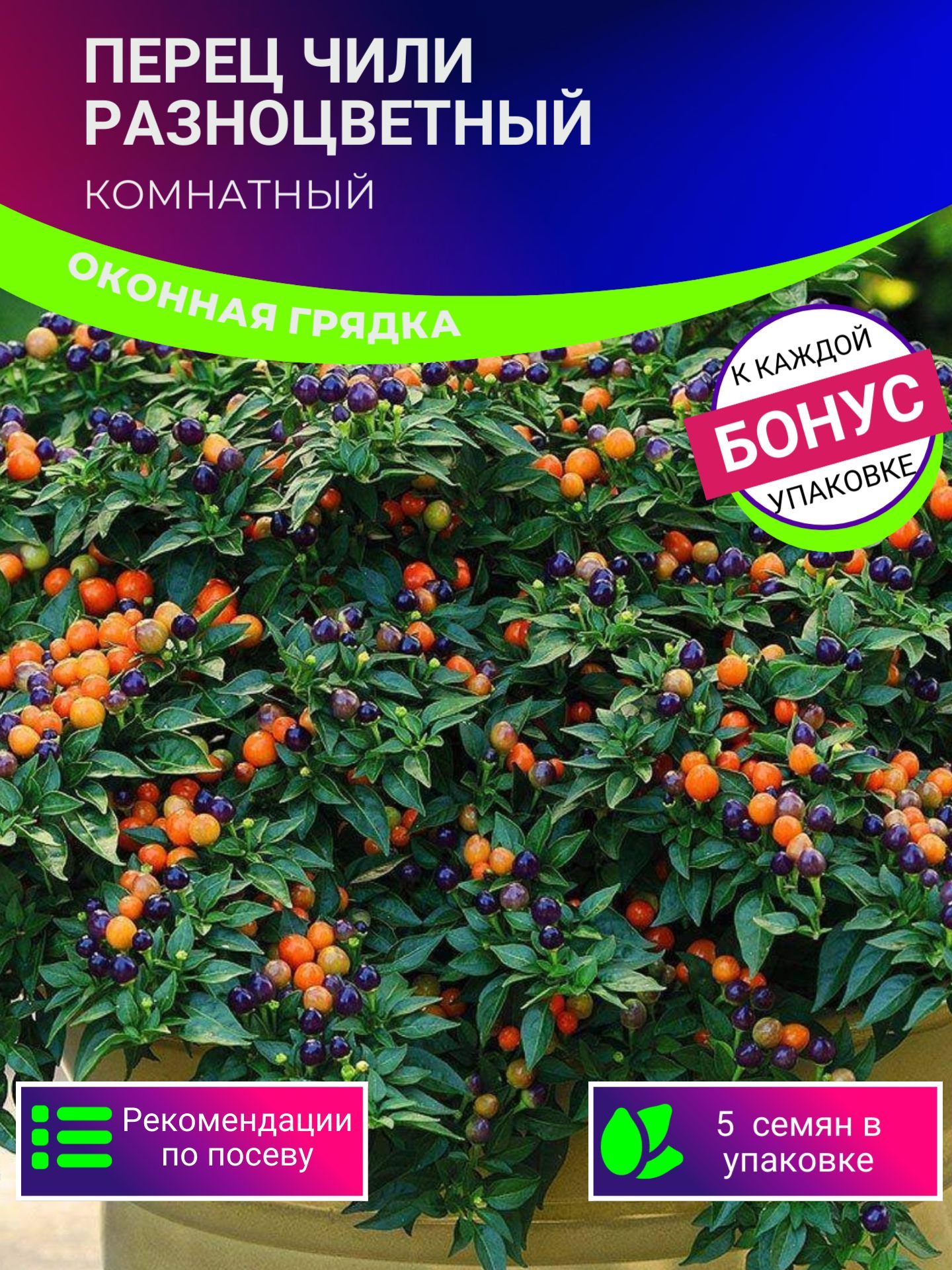 ПерецКомнатныйЧилиРазноцветныйсемена5шт+Бонус+Рекомендациипопосеву