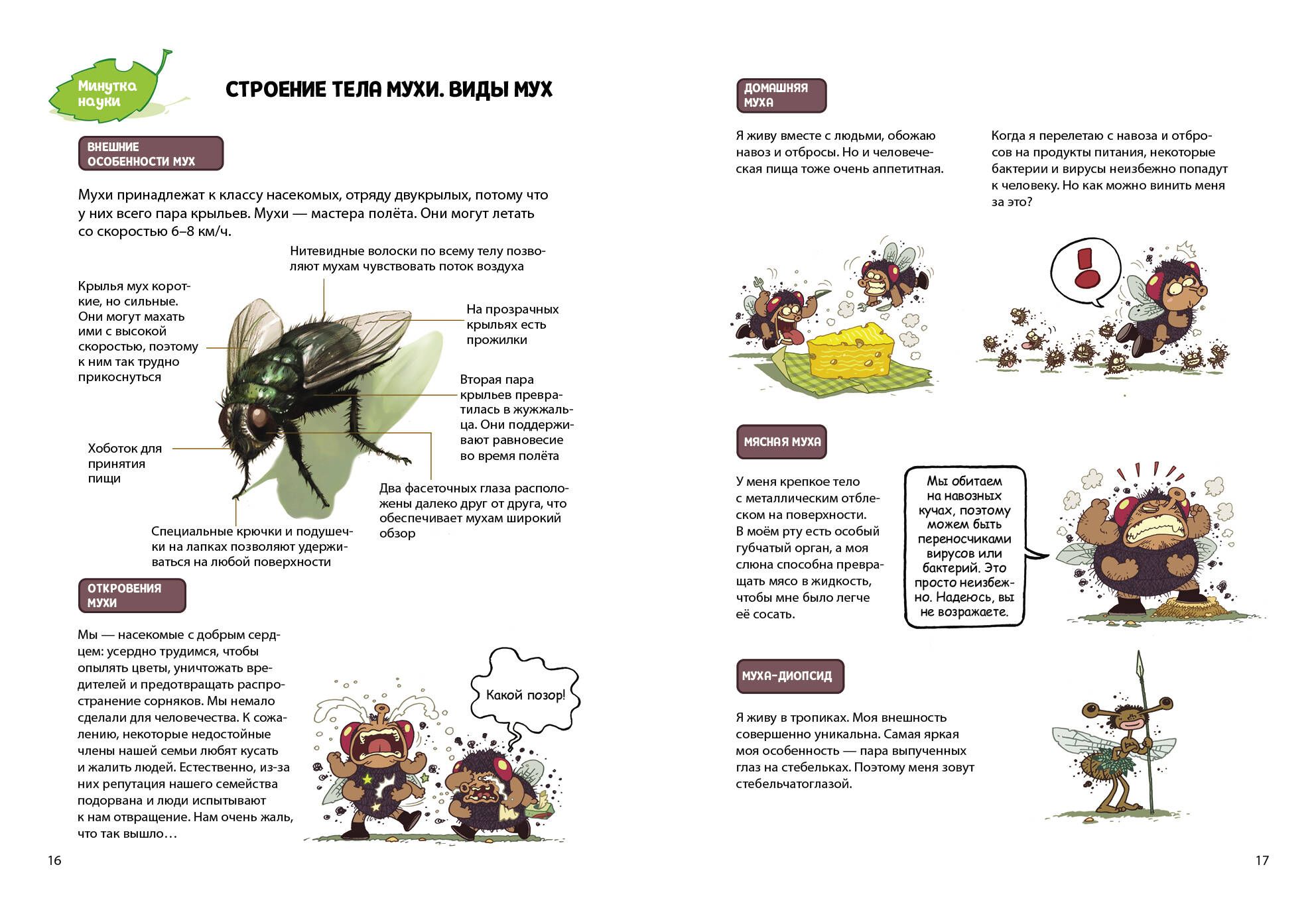 Паучий переполох! | Spider Upheaval! - Ozon image 7