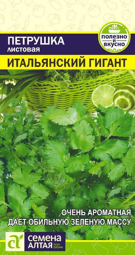 Петрушка Итальянский Гигант листовая 2г (Семена Алтая). Для выращивания в домашних условиях: в горшке, #1