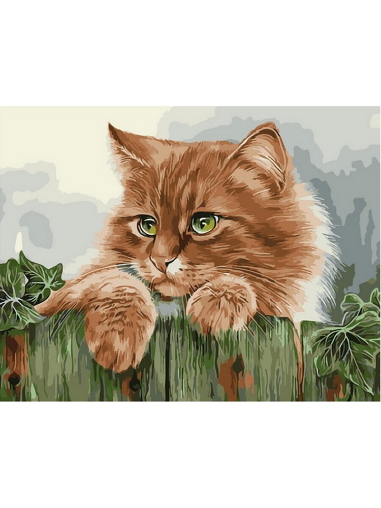 Картина по номерам Рыжая кошка 40х50 см. Hobby Home. #1