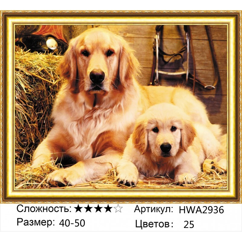 Алмазная мозаика на подрамнике 40x50 Полная выкладка. 40 х 50 : Красивый лабрадор и его щенок в хлеву #1