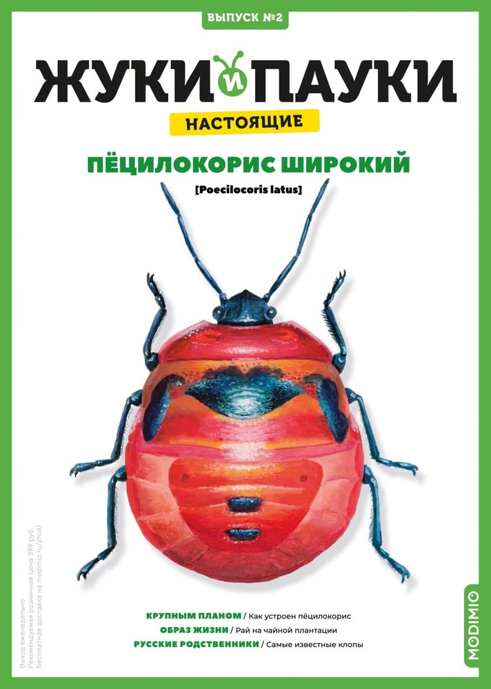 Жуки и пауки, Выпуск №2, Пёцилокорис широкий #1