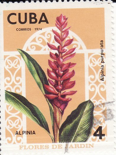 (1974-055) Марка Куба "Альпиния пурпурная" Садовые цветы II гашеная  #1