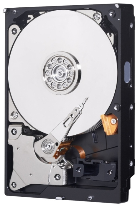 Western Digital 1 ТБ Внутренний жесткий диск (WD10EZEX)  #1