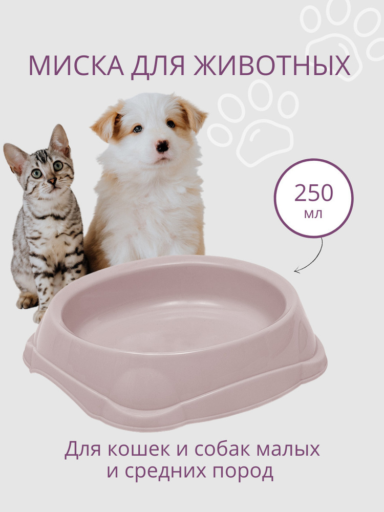 Миска для кошек, для собак DD Style / Пластиковая миска для воды и корма, пепельно-розовый, 250 мл  #1