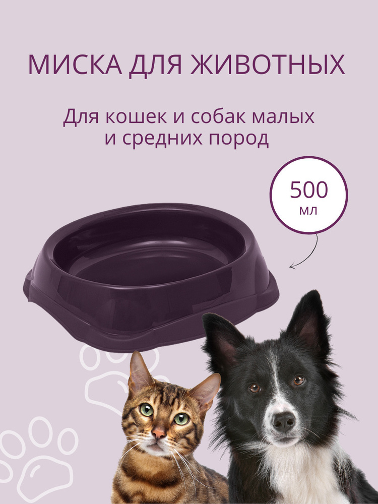 Миска для кошек, для собак DD Style / Пластиковая миска для воды и корма, лиловый, 500 мл  #1