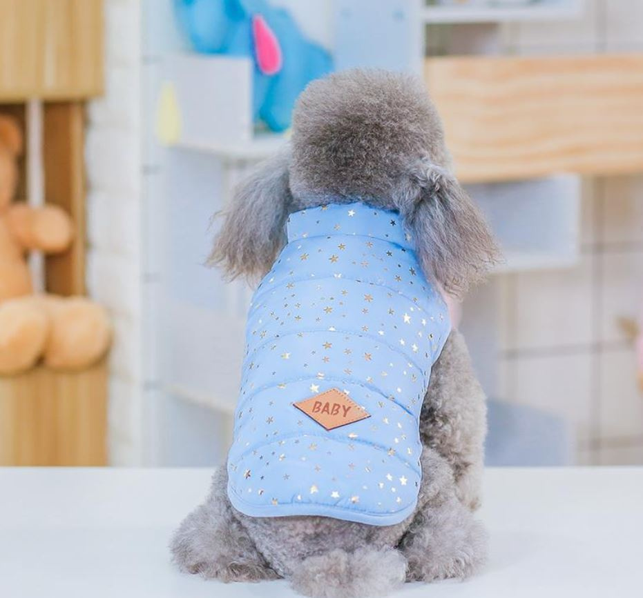 Куртка для собак мелких пород и кошек жилетка "Звездочка" голубая, S (20 cm)  #1