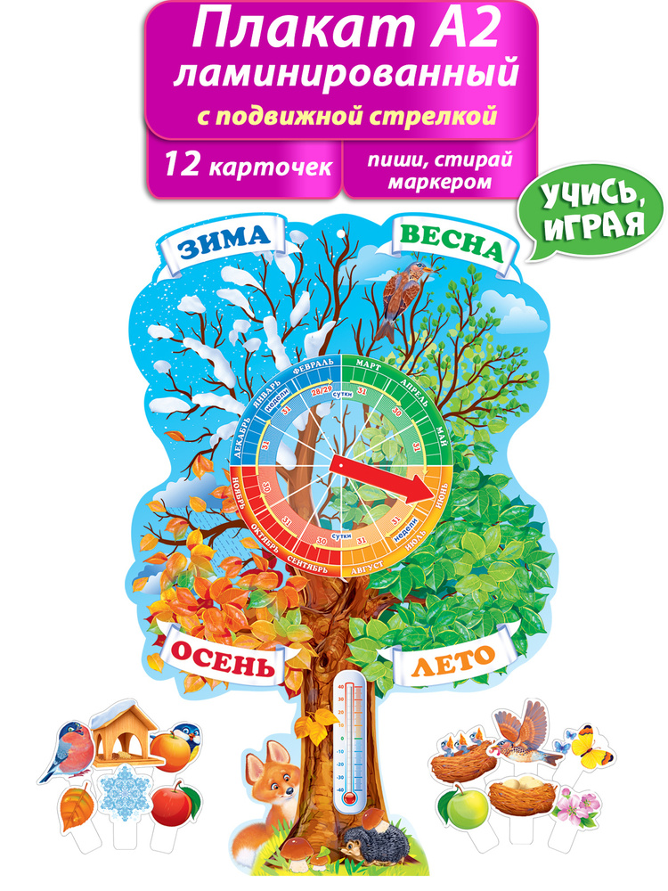 Плакат обучающий "Времена года" в школу и детский сад, 44х60 см, картон, А2.  #1