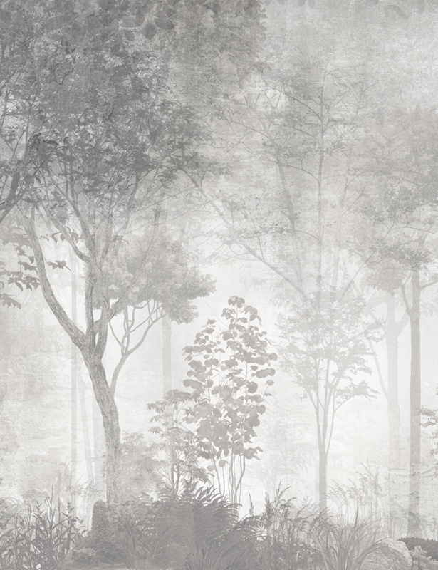 Фотообои флизелиновые на стену 3д GrandPik 26027 Лофт "Лес, деревья в тумане, винтаж, серые" (ШхВ), 200х260 #1