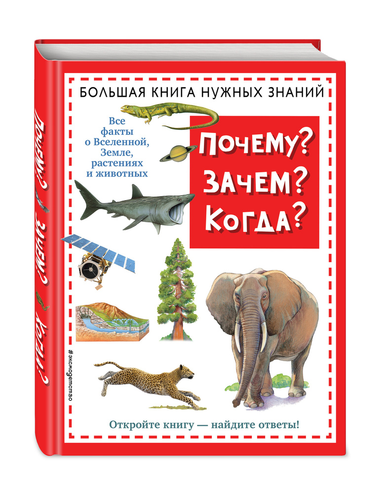 Почему? Зачем? Когда? Большая книга нужных знаний #1