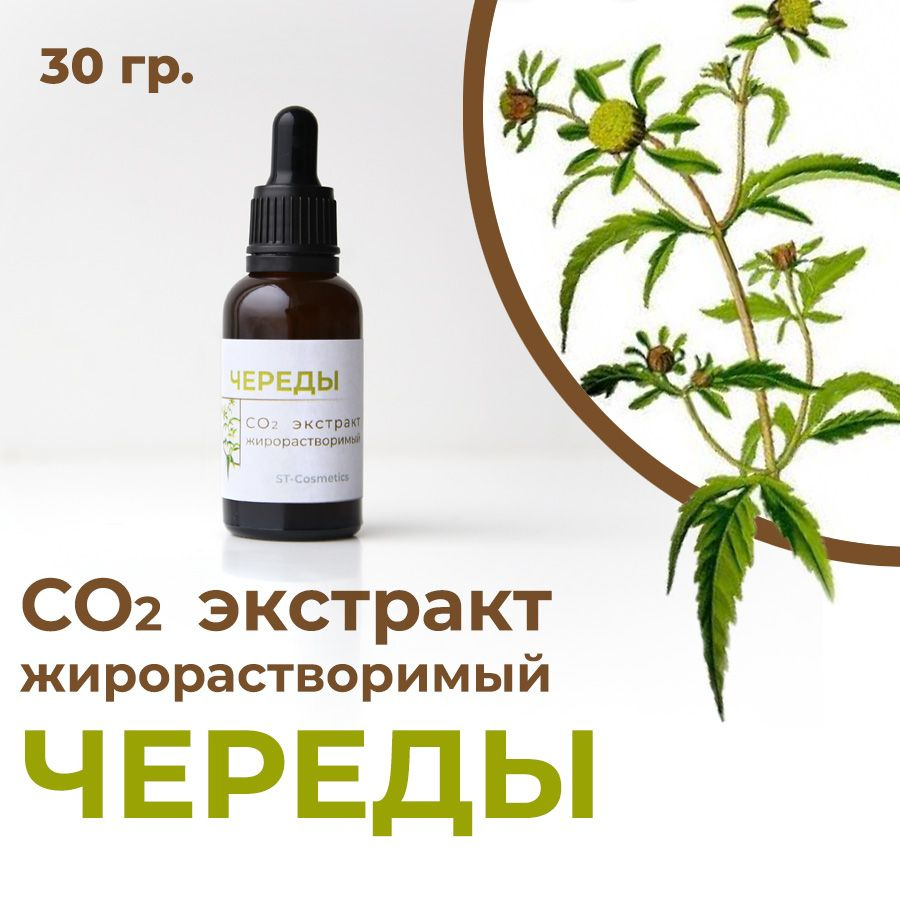 СО2 экстракт череды, 30 гр. - купить с доставкой по выгодным ценам в ...