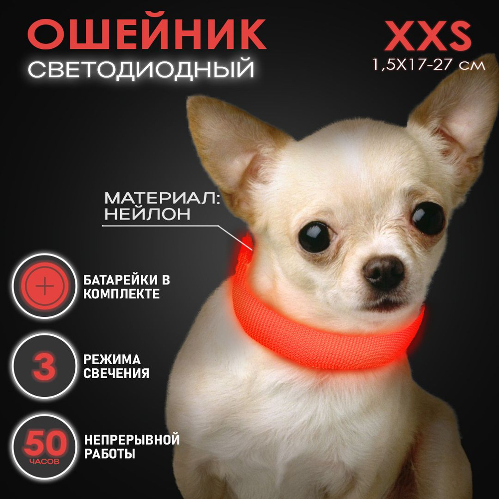 Ошейник светящийся для собак и кошек светодиодный нейлоновый красного цвета, размер XXS - 1,5х17-27 см #1