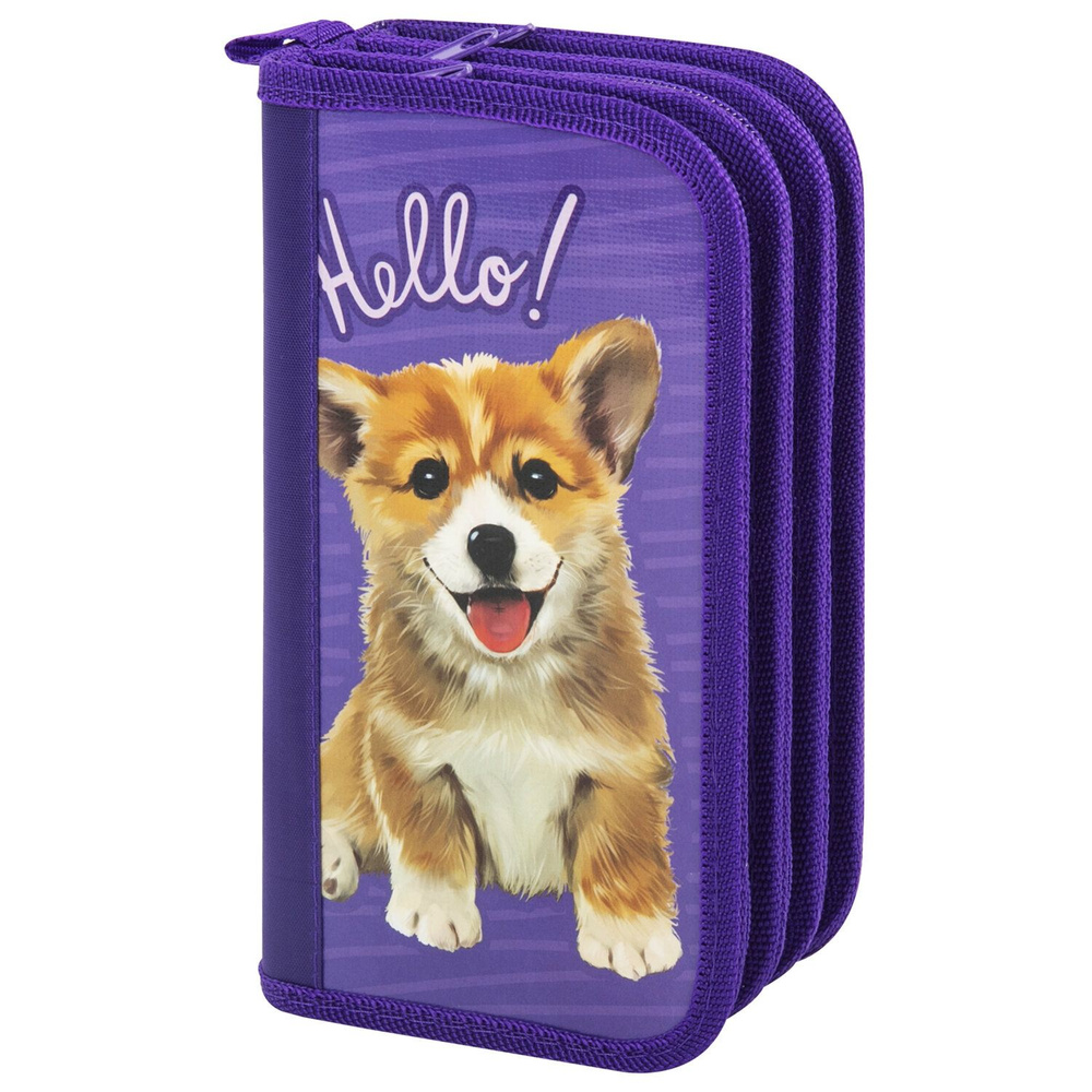 Пенал, 3 отделения, ламинированный картон, "Little Dog", 19х11 см, 229214  #1