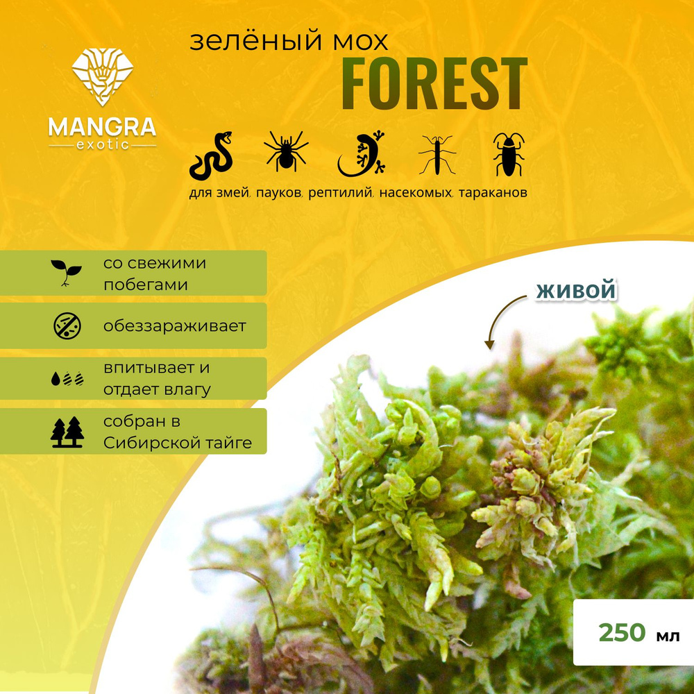 Мох живой MANGRA exotic Forest зеленый, из Сибирской тайги, для террариума / акватеррариума, 250 мл (для #1