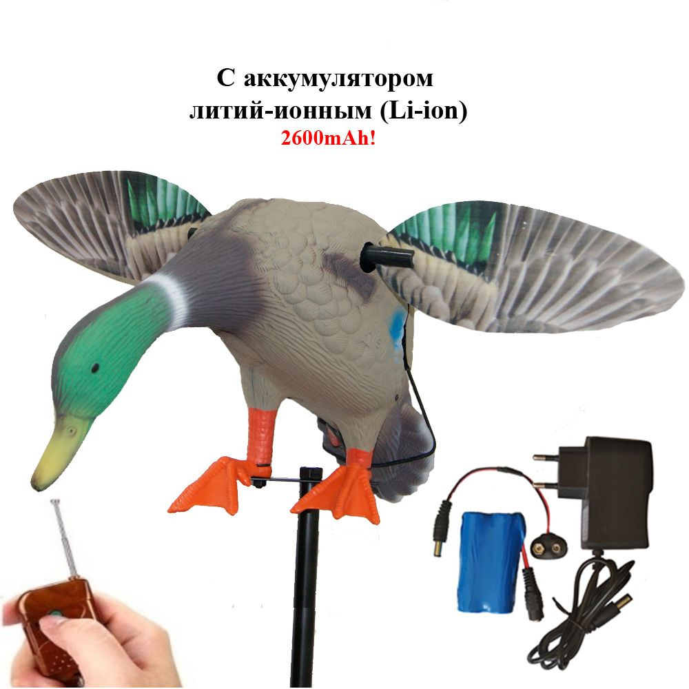 Махокрыл, подсадная утка (селезень), приманка с аккумулятором и зарядным устройством  #1