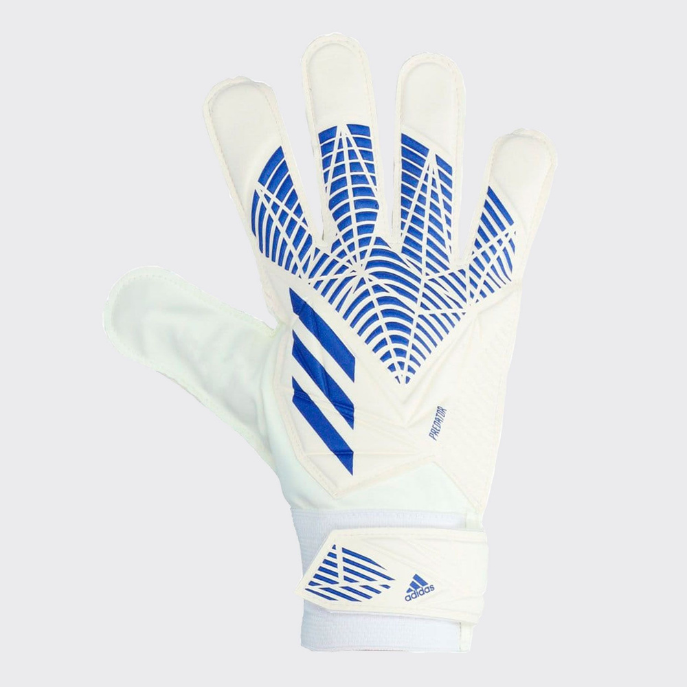 Перчатки вратарские adidas Predator Training - купить с доставкой по ...
