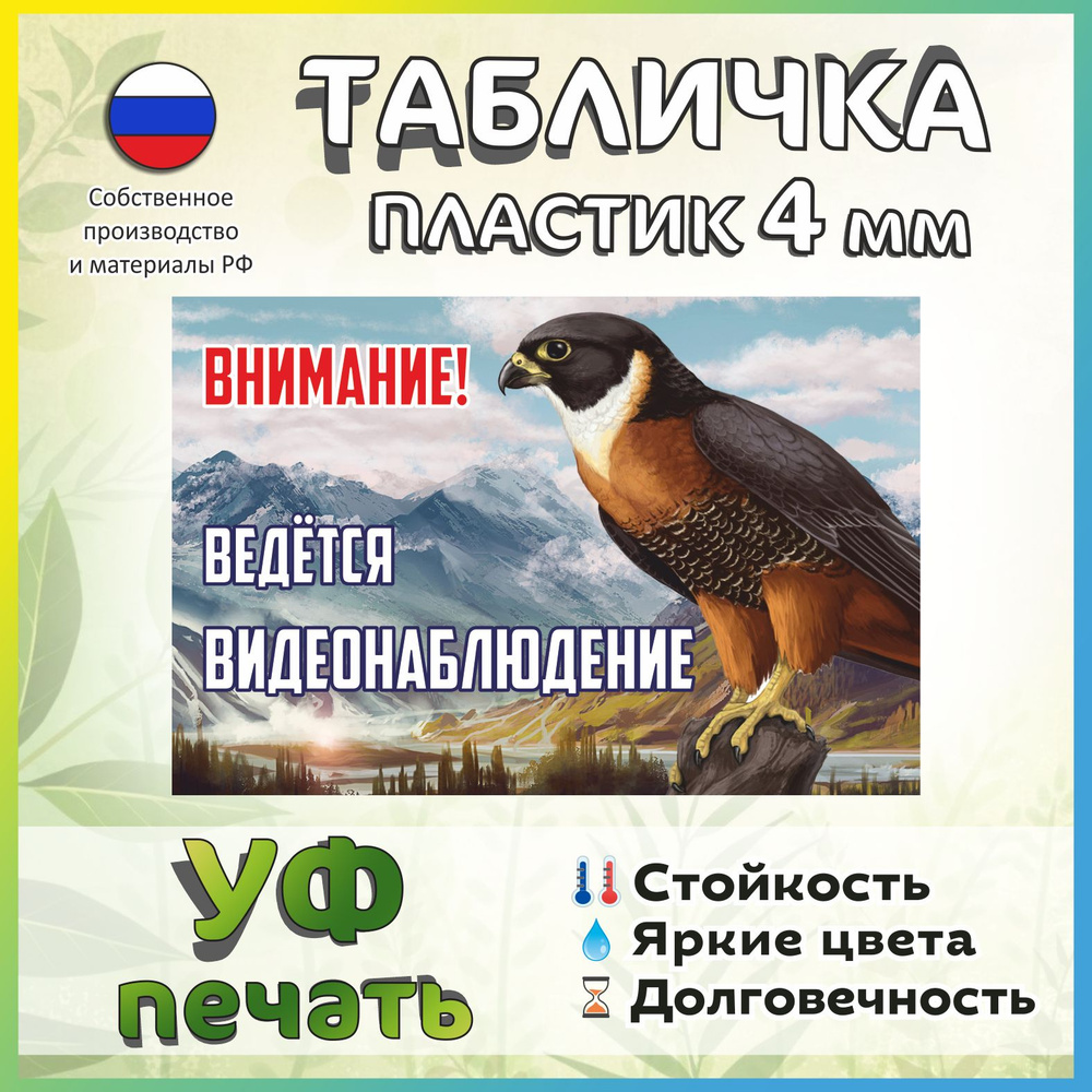 Табличка ведется видеонаблюдение №6 30*20 см #1