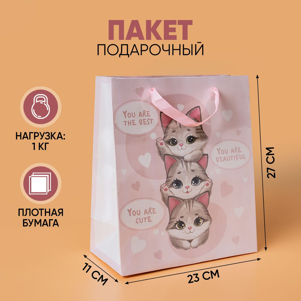 Пакет подарочный "Котики", ML 23 х 27 х 11,5 см #1