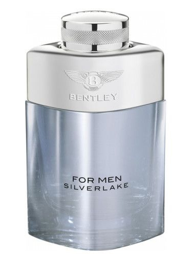 Bentley Вода парфюмерная For Men Silverlake 100 мл #1