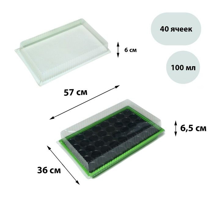 Мини-парник для рассады, 56.7 х 36 х 15.5 см, 1 вставка, 40 ячеек, 3 шт.  #1