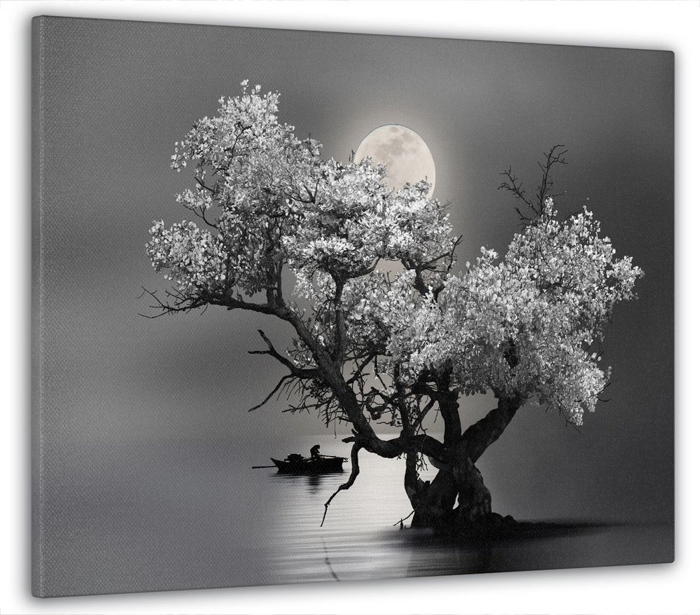 Картина на стену для интерьера "Черно-белая ночь" 50x70 см MK10111_G  #1