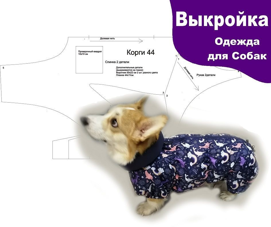 Выкройка куртки-попоны для собак. Тёплая коллекция «Межсезонье» | Шить просто — gkhyarovoe.ru