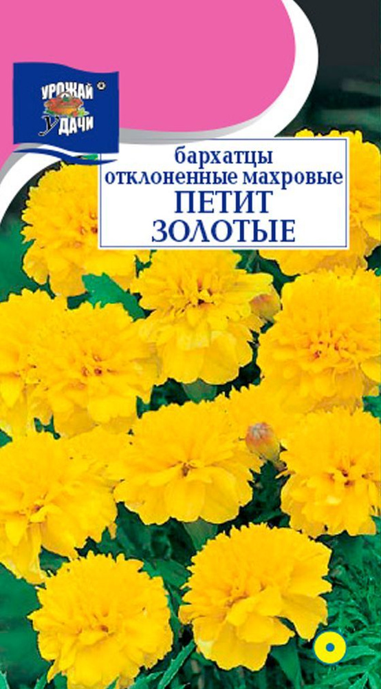 Семена Бархатцы отклонённые Петит Золотые (Семена УРОЖАЙ УДАЧИ, 0,3г в упаковке)  #1